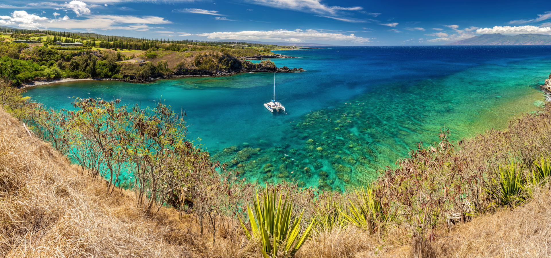 Westside Maui County Virtual Job Fair Employment Jobs Applicants For 