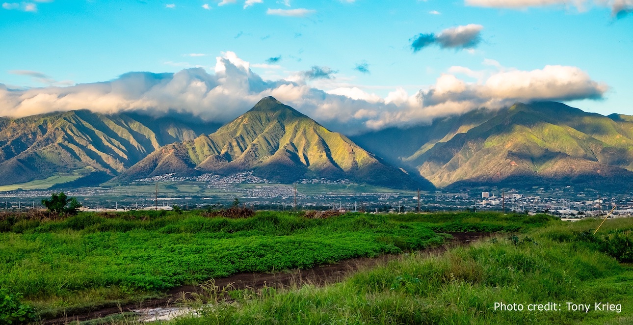 Photo credit: Tony Krieg